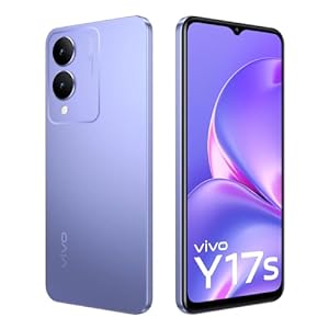 Vivo Y17S 4/64