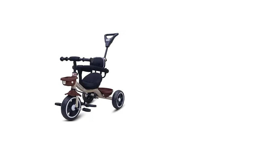 BSA ALEX TRICYCLE WITH SAFETY TRICYLE PIC_ALEX
